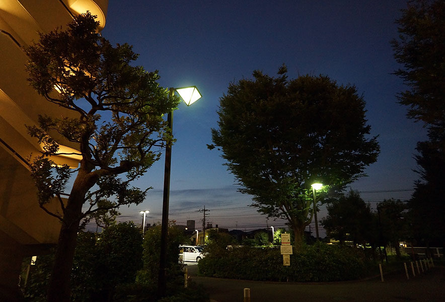 西東京市にて
