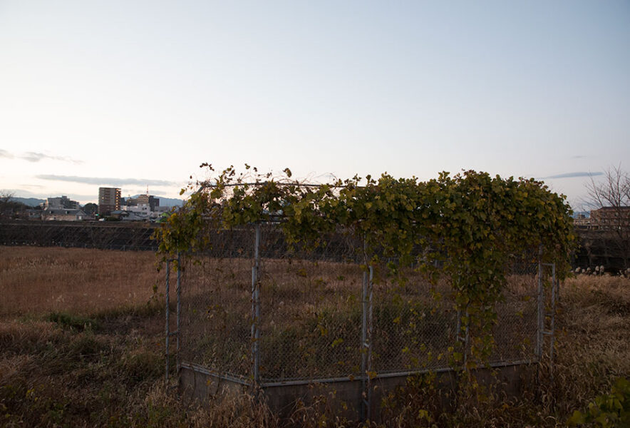 三重県津市にて