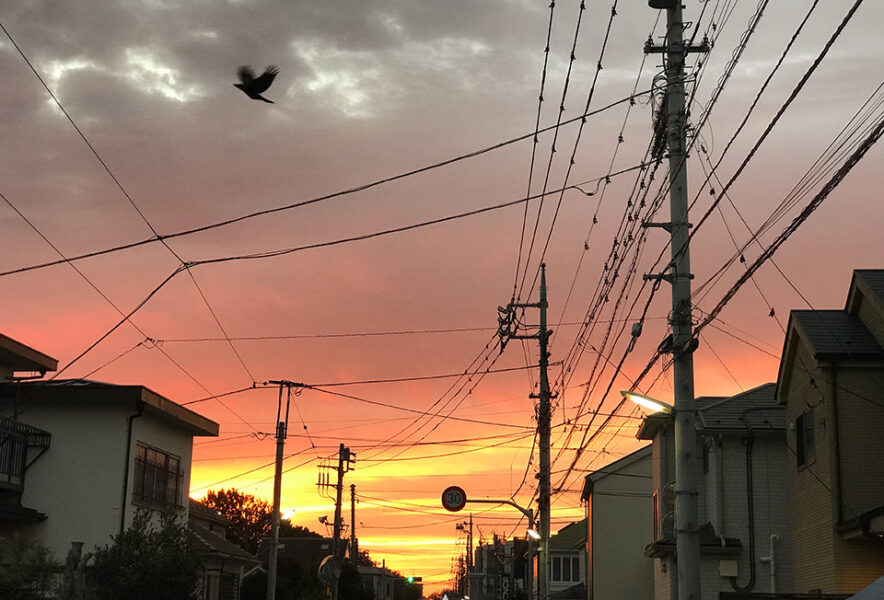 武蔵野市にて