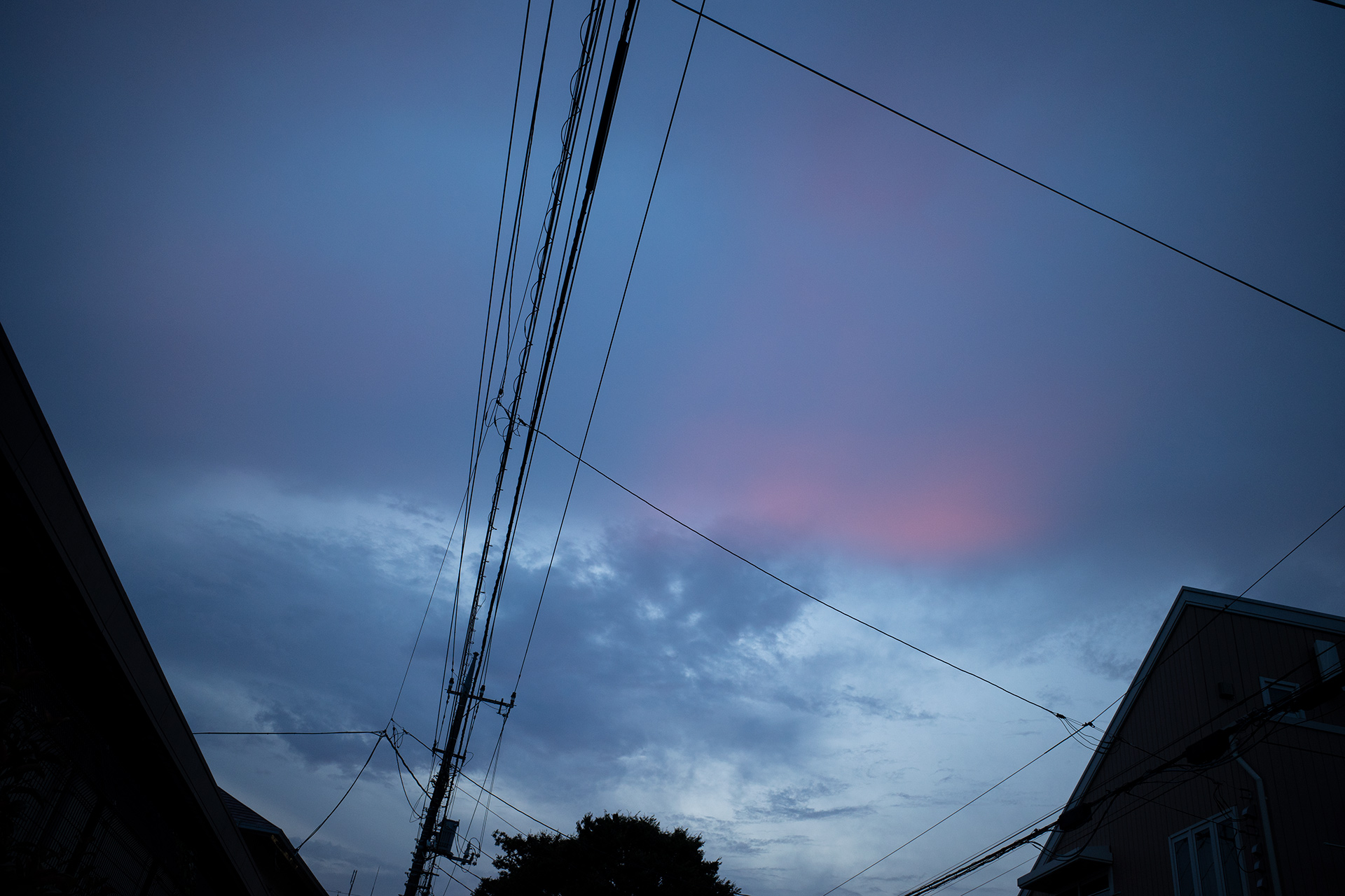 作品-201941-