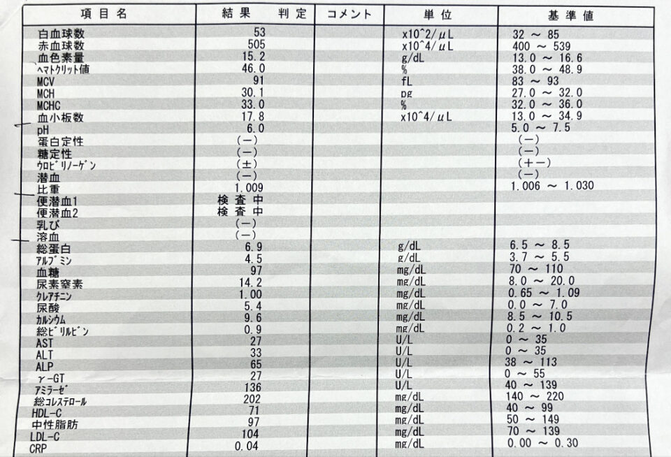 血液検査結果