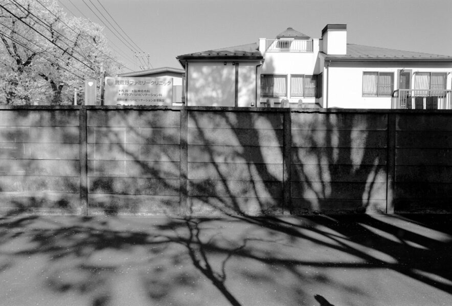 作品202523
