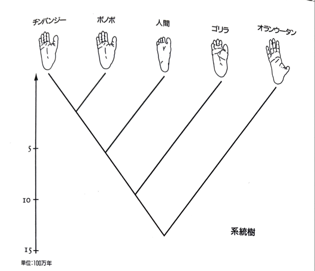ダイアグラム AI 生成コンテンツは誤りを含む可能性があります。
