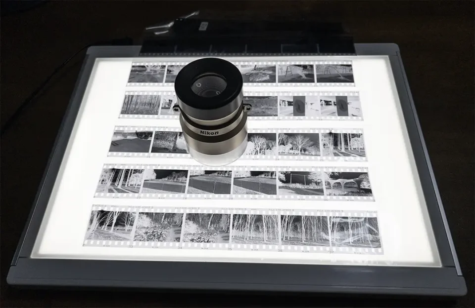 ネガをチェック