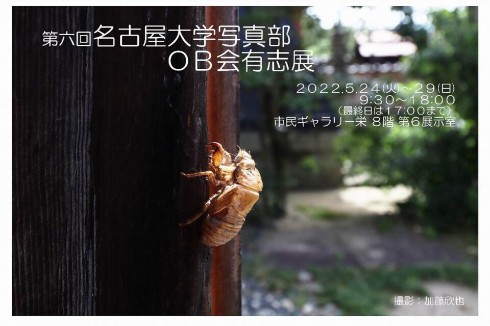 名古屋大学写真部OB会有志展　5月24日から29日　市民ギャラリー栄にて
