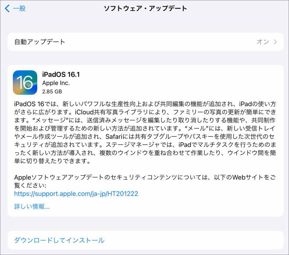 iPadOS16.1